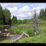 Roklanský potok - Šumava