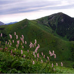 malofatranská