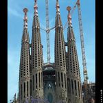 Flamingos <BR> Los Flamencos