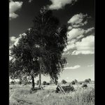 ..:: Ve větru II. ::..