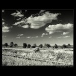 ..:: Podvečer u dráhy ::..