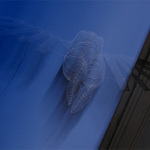 <b>Angel st.</b>