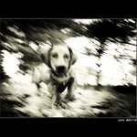 ..:M..::..O..::..V..::..E:..