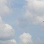 Ja som vedel ze si to pivo nemam davat :)