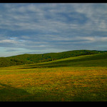 Šumava