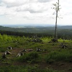 Konec přírody.....?