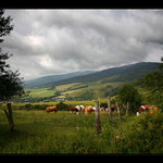 Malířskou paletou 16.století