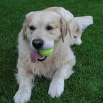 Mám a nepustím ...