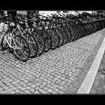 Široká nabídka...