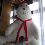 Medveď na lízing...