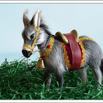 Oslík na louce v kopcích nad mořem