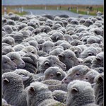 Dopravní zácpa na NZ