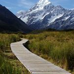 Cesta k Mt. Cooku