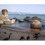 Lake Tahoe III