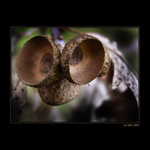 <b>... 8-)  ...</b><br>