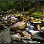 <b>Cesta ke štěstí</b>