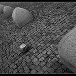 Black sheep in white