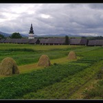 3 kopy sena pred búrkou