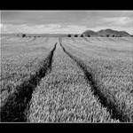 can´t reach each other