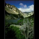 Roháčské pleso