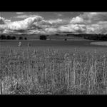 Blata v Českém ráji