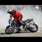 <b>SFD 2004</b>