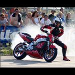 <b>SFD 2004</b>