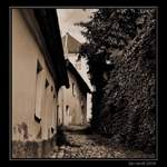 ..:: Tajemná ulička ::..