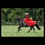 Zapomenutá elegance