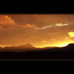 Slovenská západofka