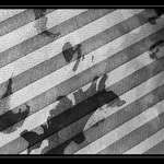 <b>///linie za oknem///</b>