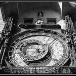 ___Orlojovka obecná___