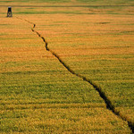 Jediná správná cesta !