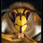 Neskúšajte ma naštvať!