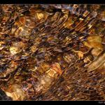 .:(há dvě ó):. - II.