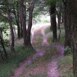 Ťažká je cesta k rodičom ...