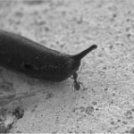 Blízké setkání třetího druhu