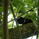 První výlet na strom