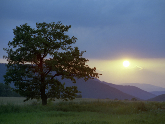 Summer Sunrise