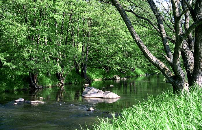 Pokojna rieka