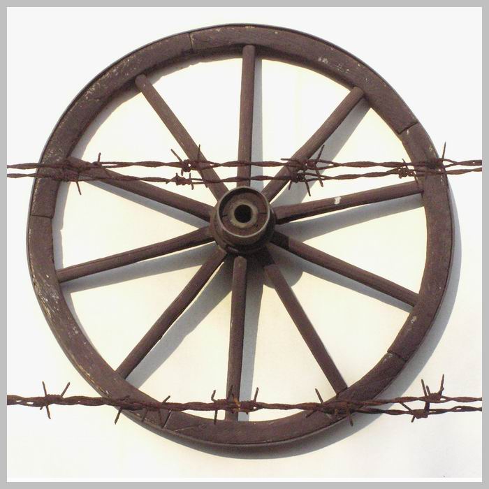 kolecko