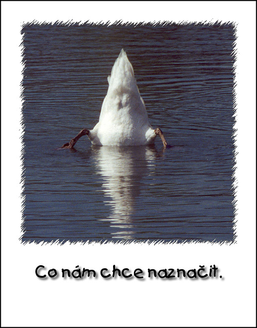 Jasné gesto
