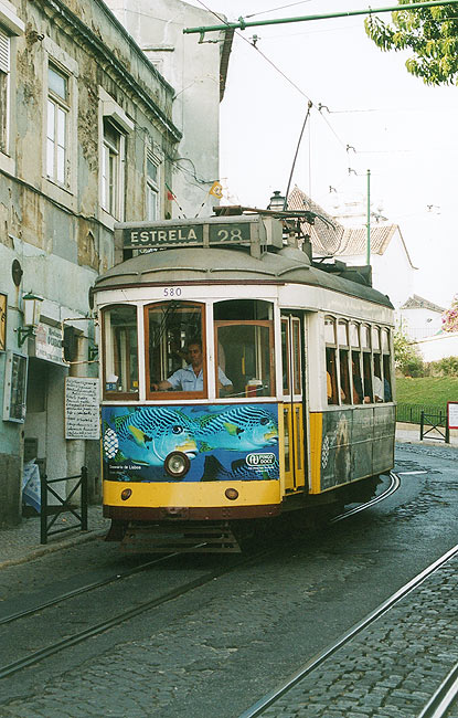 Estrela 28