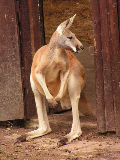 Kam se všichni poděli??