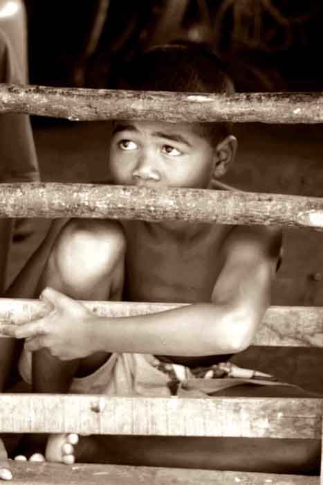Domorodec Orang Asli, Malajsie