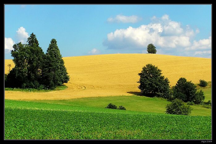 .: One Tree Hill :.