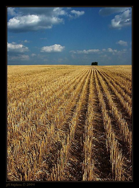 Strniště
