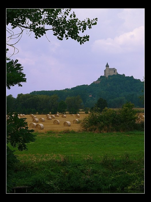 Kuňka