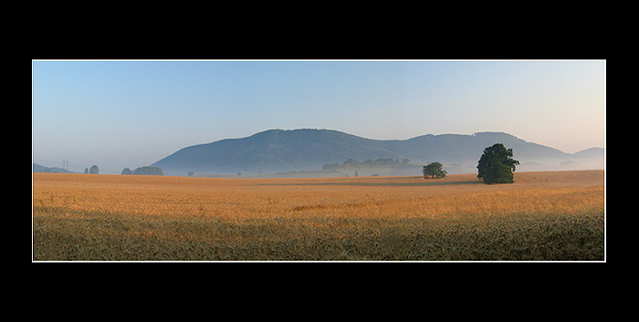 <b>....morning glory</b>