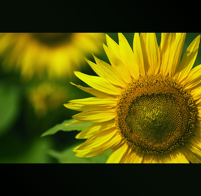 <b>~ fresh summer ~ [part2]</b>